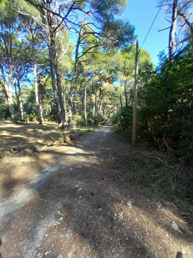 Apartmani Alma Pula Bagian luar foto